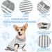 PatinaDrift Dogebody Suit - Post-Op Wound Protection for Dogs | Cone Alternative for Castration Recovery | Small Gray Dog Outfit - Buy Online on GoSupps.com