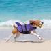 Queenmore Dogs Wowers RipStop Huideling - Lifeguard Dog Floatation Vest | XS Purple for Small Medium Large Dogs - Buy Online on GoSupps.com