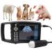 Vanenferelless ultrasound veterinary B-ultra sound scanner farm animals pet with 3.5 MHz convex probe for pigs sheep dogs cats pregnancy test