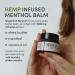 Herbo Menthol Body Balm - Organic Shea Butter & Hemp Moisturizer | Cruelty-Free Paraben-Free Body Cream for All Skin Types - 1.7 oz - Buy Online on GoSupps.com
