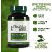 Dimmak Herbs Bone Mending Pills - Chinese Medicine Supplement for Bone Fracture Healing and Strengthening - 100 Capsules - Buy Online on GoSupps.com