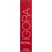 Schwarzkopf Royal IGORA Permanent Hair Color 6-00 - Dark Blonde Natural Extra 60g - Buy Online on GoSupps.com