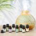Premium 32-Piece Essential Oils Set for Aromatherapy, Diffuser, Massage, Skin Care - Eucalyptus, Lavender, Tea Tree, Peppermint, and More - Buy Online on GoSupps.com