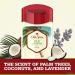 Old Spice Fresh Collection Fiji Scent Deodorant 3 OZ - Pack of 2 - Buy Online on GoSupps.com