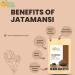 Organic Jatamansi Root Powder for Hair Growth & Stress Relief - 5.3 oz / 150g - Buy Online on GoSupps.com