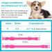 KOSKILL LED Dog Collar - Waterproof & Bright Adjustable USB Lighted Collar for Small Dogs (Pink Size S) - Safe & Stylish Pet Accessory - Buy Online on GoSupps.com