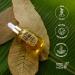 Quri Liquid Gold Amazonia | Nourishing Skincare Oil with 7 Super Oils | Vegan Sustainable & Biodegradable | Luxury Tropical Blend for Body Face & Hair - 1 fl oz - Buy Online on GoSupps.com