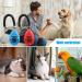 Diyife Dog Clicker Training Set - Large Button & Hand Loop 2-Piece Professional Clicker for Dogs Cats & Horses - Blue & Red - Buy Online on GoSupps.com
