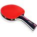 Table Tennis Paddle Set - 4 Rackets, 8 Balls, Accessories & Carry Case - Professional and Amateur Play - Indoor/Outdoor - Buy Online on GoSupps.com