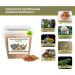 Dried Mealworms 160g equivalent to 1000ml Premium Quality Treat for Birds Hedgehogs Turtles Reptiles Fish R - Buy Online on GoSupps.com