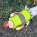 Reflective Chicken Hen Saddle Apron | Adjustable Strap | Protects Poultry Ducks Geese | Green - Buy Online on GoSupps.com