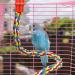 Bird Perch Cage Rope for Parrots Parakeets & Cockatiels | Comfortable & Colorful 80 cm Long with Plastic Nuts - Buy Online on GoSupps.com