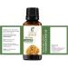 100% Pure Frankincense Oil (Boswellia Carteri) - Undiluted Therapeutic Essential Oil - 30ml (1.01 Fl.Oz) for Natural Wellness - Buy Online on GoSupps.com