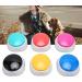 Gugxiom 6-Piece Dog Talk Set | 30-Second Buzzer Dog Training Toys | Colorful Intelligence Gifts for Dogs - Yellow & More - Buy Online on GoSupps.com