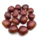 AgoraMarket Fresh Organic Sweet Chestnut 1Kg 10Kg 1 Kg