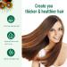 Organic Batana Oil for Hair Growth | Dr. Sebi Pure Hair Oil - Thicker Fuller Hair Prevents Loss & Repairs Split Ends | International Shipping - Buy Online on GoSupps.com
