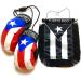 Puerto Rico Car Decal Sticker - Puerto Rican Flag - Boricua Latino Accessories - Buy Online on GoSupps.com