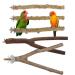 Vueinrg 5 pieces of nature Belt rods for birds natural wood seat rods Wellensing bird sticks for cage branches for birds bird cage accessories for nymphic canaries canaries