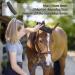 DHinkyoung Horse Massage Comb 6-in-1Horse Hair Brush TPR Horse Grooming Brush Pet Root Brush for Horse Dog and Cat Grooming Shedding - Buy Online on GoSupps.com