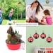 SunGrow Collapsible Treats & Water Bowls for Ferrets, Finches, Parakeets, and Baby Chickens - Portable Pet Travel Dish and Feeder - Buy Online on GoSupps.com