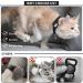 FEEYAR AirTag Cat Collar - GPS Tracker & Bell - Lightweight & Soft - 7-9.5 Inch Black - for Girl Boy Cats, Kittens & Puppies - Buy Online on GoSupps.com