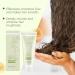 Hair Gloss Styling Cream Styling cream for curly hair regenerates and improves frizz creating a natural look 100 g (3PC) - Buy Online on GoSupps.com