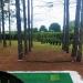 Just For Nets Nylon Golf High Impact Net - Black 10x10 - Buy Online on GoSupps.com