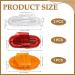 4 Pcs Meridians Massage Brush Cellulite Body Massager Comb Essential Oil Spa Tool Set - Buy Online on GoSupps.com