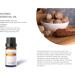 Christmas Essential Oils Set - Premium 6 Pack (10ml Each) | Cinnamon Clove Nutmeg Pine Candy Cane Holiday Joy - Perfect for Holiday Aromatherapy - Buy Online on GoSupps.com