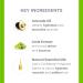 DERMA E Ramos Wash Day Curl Shampoo 12 oz | Nourishing Curl Care for All Hair Types | Buy Internationally - Buy Online on GoSupps.com