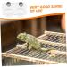 TOGEVAL 1 Set Magnetic Water Feeder Gecko Feeding Cups Reptile Feeding Cups Leaopard Tortoise Worm Acrylic - Buy Online on GoSupps.com
