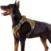 Rabbitgoo dog harness Large dogs anti -train crockery dog adjustable with handles widened robust and wear -resistant tactical dog harness with metal buckles for hiking (XL brown) XL (1 Pack) brown