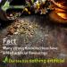 Children's Tea for Immunity | Pure Natural Herbal Tea Grown in Europe (20 Tea Bags 40g) - Buy Online on GoSupps.com