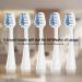 5 Count White Replacement Brush Heads for Waterpik Complete Care 5.0/9.0 & Aquasonic Duo Electric Toothbrushes - Buy Online on GoSupps.com