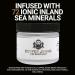 Natural Beard Balm for Men - Medium to Firm Hold Moisture Seal with Shea Butter & Jojoba Oil - The Hunt (Unscented) - 2 oz - Buy Online on GoSupps.com