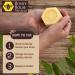 Bee Bar Honey House Naturals Citrus Duo - Small .6oz & Large 2oz - Buy Online on GoSupps.com