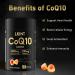 CoQ10 Gummies, Co Q 10 Supplement Sugar Free, Cq10 600mg with Omega 3 & Vitamin E, High Absorption Coenzyme Q10 Gummies for Heart Healthy, Energy & Antioxidant Support, Orange Flavor, 90 Count 1 Count (Pack of 90) - Buy Online on GoSupps.com