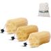 Aroura 100% Natural Egyptian Loofah Set of 3 - Exfoliating Loofa for Body | Eco-Friendly | 4x7 - Buy Online on GoSupps.com