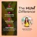 HUM Base Control Multivitamin for Women with Vitamin C Iron Biotin Zinc B Complex Daily Women's Multivitamin 22 Essential Vitamins & Minerals Support for Pre-Menopause Gluten Free 30 Capsules - Buy Online on GoSupps.com