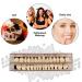56 Pieces False Teeth Set - Synthetic Polymer Denture Teeth in Shade A3 for DIY or Halloween Costume - Upper + Lower Dental Materials for Replacement - Buy Online on GoSupps.com
