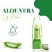 BioRLX Aloe Vera Lip Balm - Hydrating Duo for Soft Lips | International Shipping Available - Buy Online on GoSupps.com