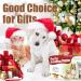 LiteBee Professional Dog Grooming Kit 2200mAh Rechargeable Cordless 3-Speed Pet Grooming Clippers & Complete Set of Dog Grooming Accessories (White) - Buy Online on GoSupps.com