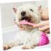 COSMEVIVI 10pcs Pet Toothbrush Pet Cleaning Toothbrush Cat Toothpaste Pet Toothpaste Dual-head Dog Puppy Nylon - Buy Online on GoSupps.com