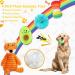 10 Pack Luxury Puppy Toys for Teething Small Dogs Squeaky Plush Dog Rope Toys Set Puppy Chew Toys with Cute Squeaky Dog Toys Ball and More Rope Dog Chew Toys Xmas Gift for Small and Medium Dogs - Buy Online on GoSupps.com