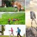 Portable Folding Walking Stick Trekking Pole 7075 Aluminum Cane Strong and Lightweight Perfect for Hiking Walking Trekking Trail Crutches - Buy Online on GoSupps.com