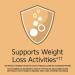 21st Century Herbal Slimming Tea - Caffeine-Free Peach-Apricot | 24 Bags (1.6 oz) - Buy Online on GoSupps.com