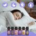 Lake Sleep Essential Oil Set Aromatherapy Gift with Vetiver Lavender & More (6x10 ml) - Pure Fragrance Oils for Diffusers & Humidifiers - Buy Online on GoSupps.com