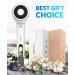 Ionic Hair Dryer Chignon Hair Blow Dryer 1600W Lightweight Fast Drying with 2 Concentrator Nozzles 3 Temperature /2 Speed for Home Travel - Buy Online on GoSupps.com