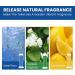 Toilet Gel Toilet Stain Removal Cleaning Air Freshener Flower Fragrance Bathroom Deodorizer Bowl Cleaner Toilet Gel Printing Cleaner (1PC) - Buy Online on GoSupps.com