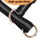 Durable No-Pull Dog Collar with Soft Upholstery | Control Heavy Pulling on Walks | Free Training Guide | Size L - Buy Online on GoSupps.com